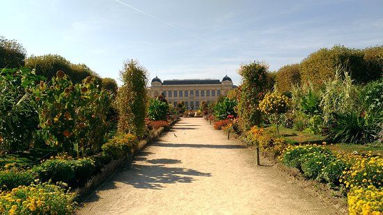 Jardin des Plantes